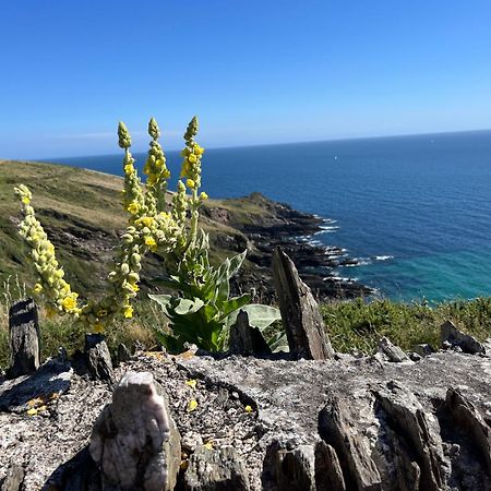 Pilchards Cottage Noss Mayo المظهر الخارجي الصورة