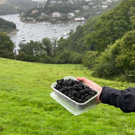 Pilchards Cottage Noss Mayo المظهر الخارجي الصورة