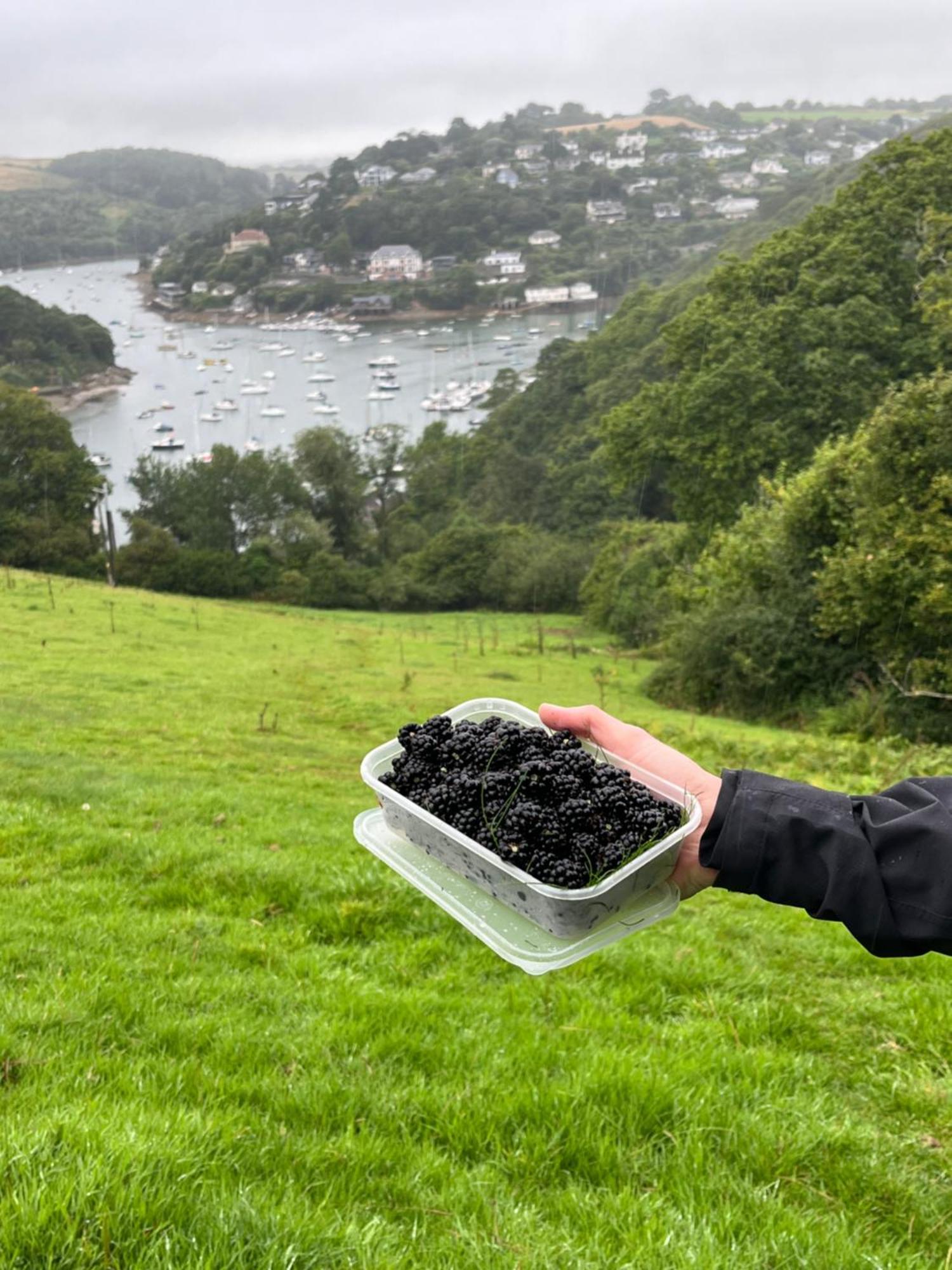 Pilchards Cottage Noss Mayo المظهر الخارجي الصورة