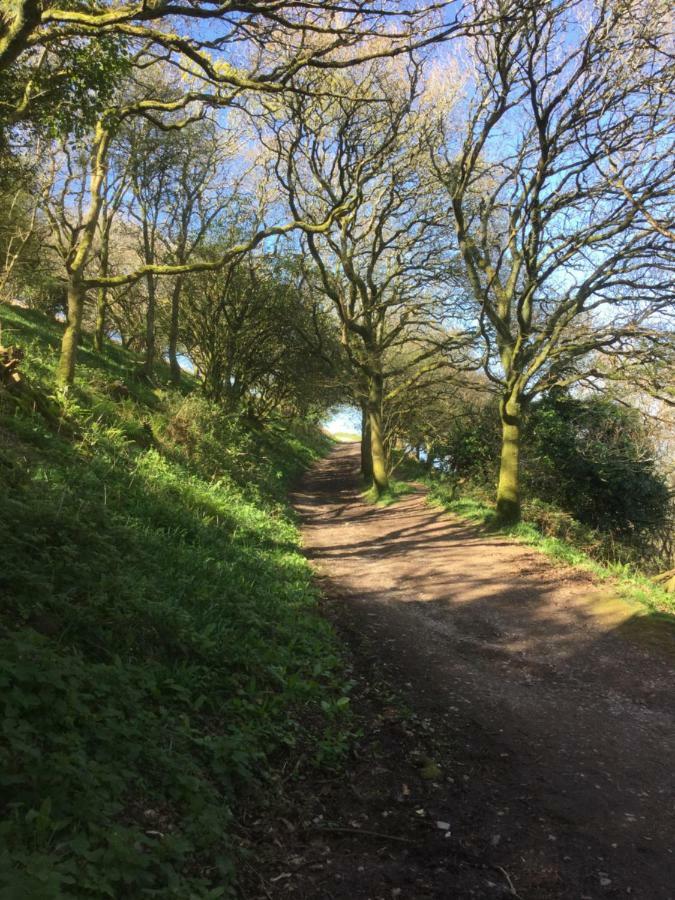 Pilchards Cottage Noss Mayo المظهر الخارجي الصورة